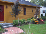 Olde Century Historic Colors Goldenrod Yellow Exterior House with Olde Brick Red Door