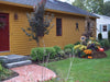 Goldenrod Yellow